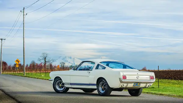 Shelby GT350H-7 by MattCrandall