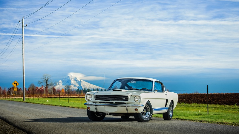 Shelby GT350H-2