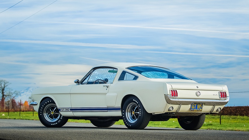 Shelby GT350H-8