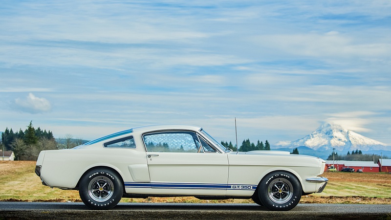 Shelby GT350H-10