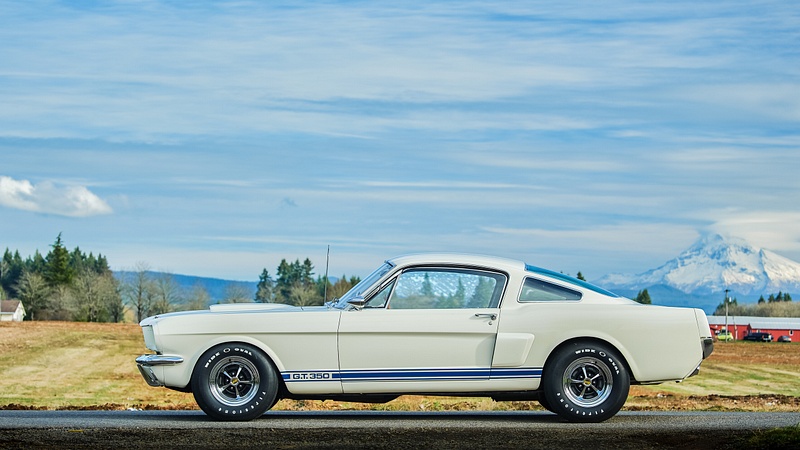 Shelby GT350H-11