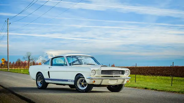 Shelby GT350H-3 by MattCrandall