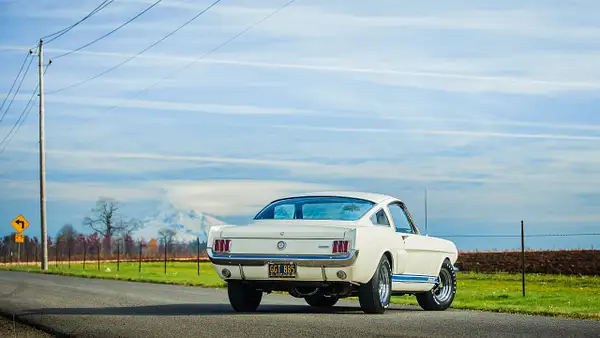 Shelby GT350H-6 by MattCrandall
