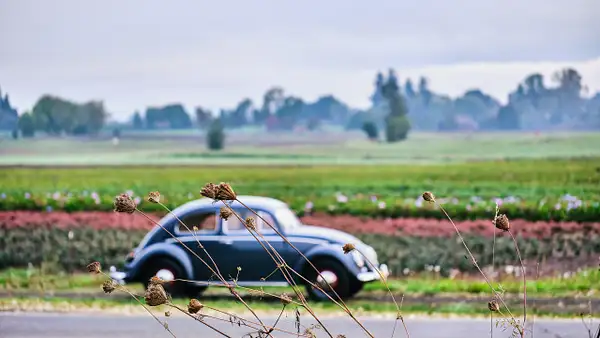 1953 VW Beetle for Sale A-GC.com-6 by MattCrandall
