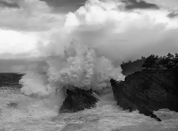 B and W Shore Acres High Surf by jgpittenger
