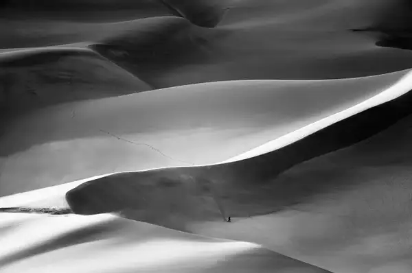 Dune Walker 2023 by jgpittenger