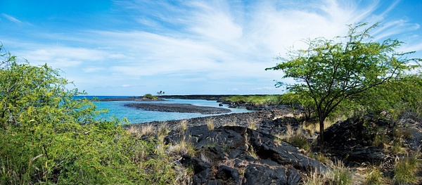 kiholo bay pan - Big Island Hawaii - Steve Juba 