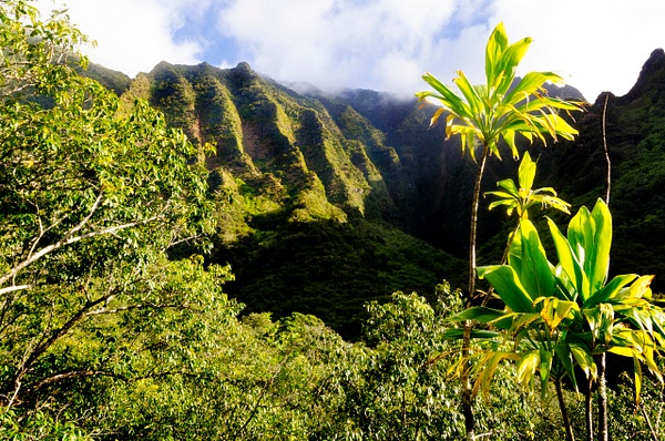Na Pali Hike View 2 - Kauai - Steve Juba 