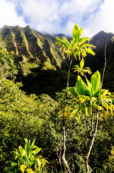Na Pali Hike View - Kauai - Steve Juba 