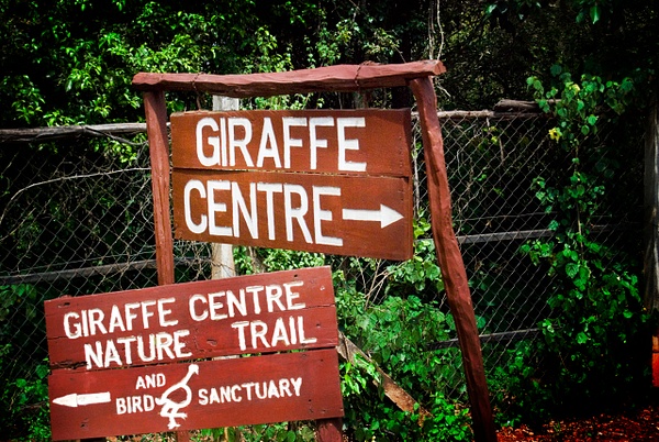 giraffe center sign - Kenya - Steve Juba 