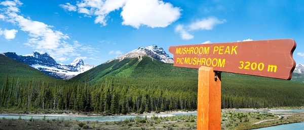 mushroom peak - Canadian Rockies - Steve Juba