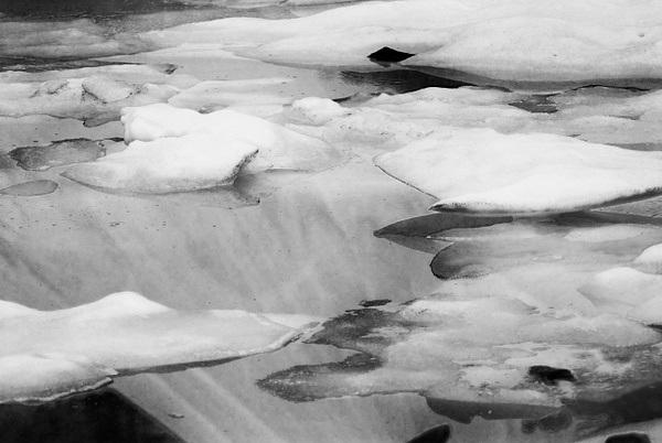 icebergs bw - Canadian Rockies - Steve Juba