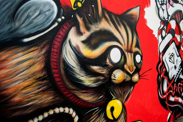 Mad Cat Grafitti - Costa Rica - Steve Juba 