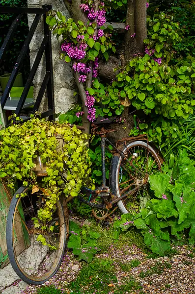 Giverny Bike by Stevejubaphotography