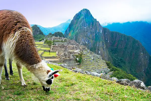 Peru by Stevejubaphotography