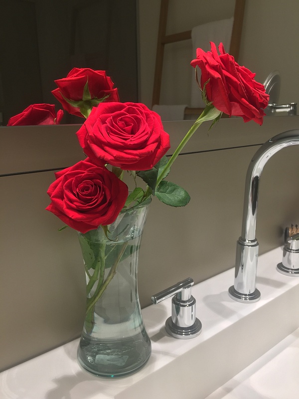 Roses left daily in room