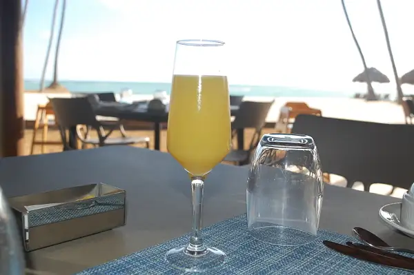 Morning mimosa by Lovethesun