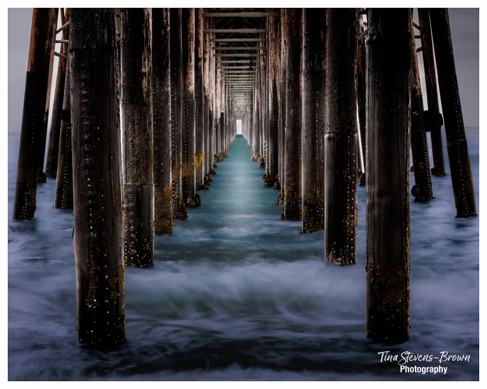 Under the Oceanside Pier - tsbphoto