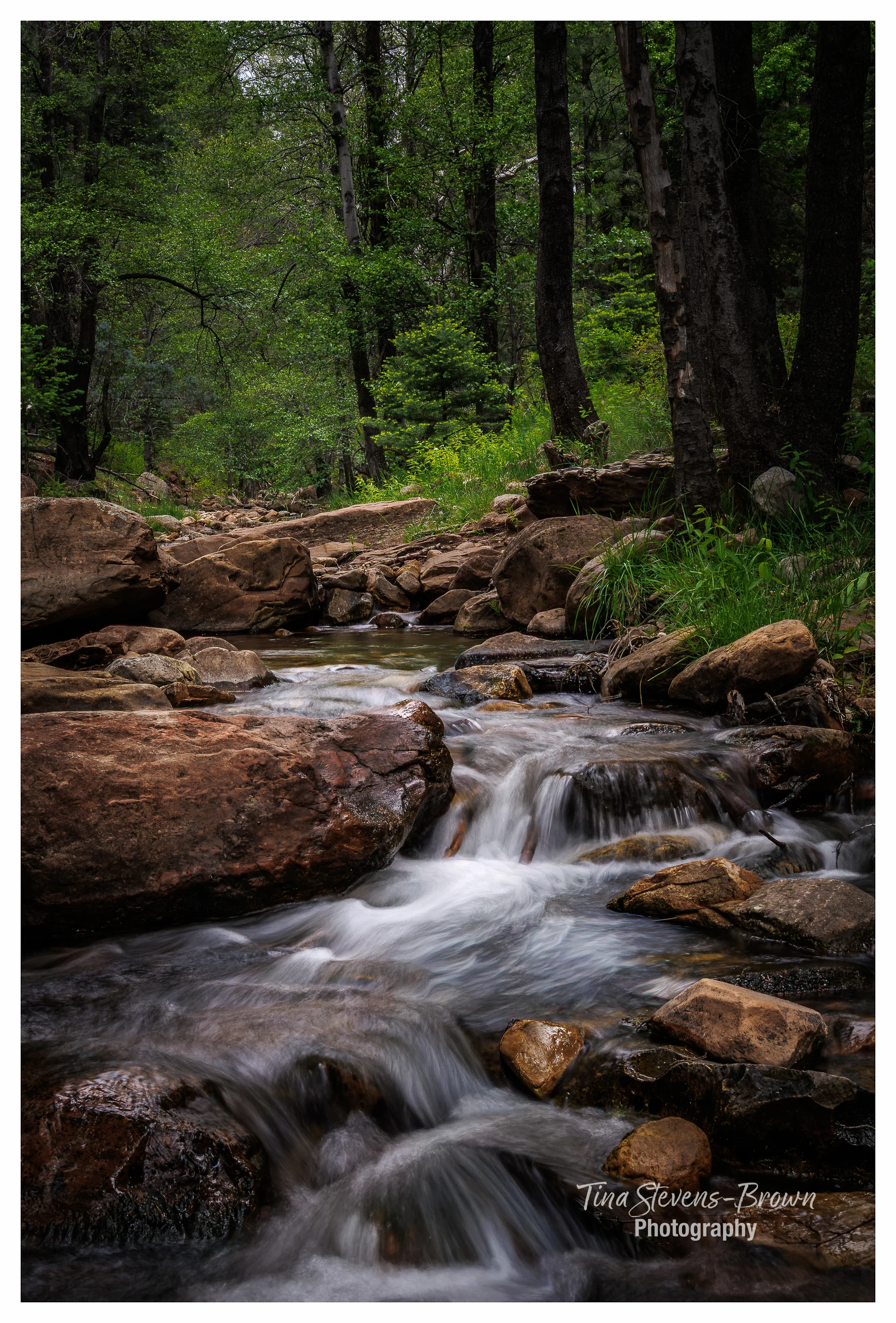 Horton Creek Waterfalls - tsb photo -1