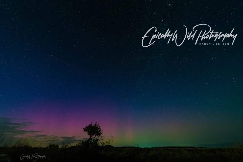 Auroral Splendor Over Serene Landscape