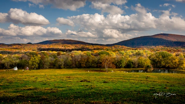Mark Brown Photography