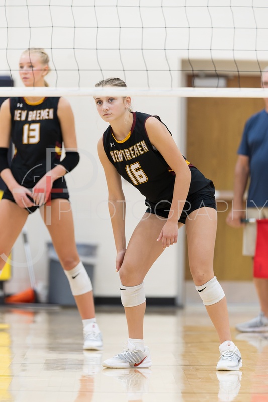 Volleyball vs Versailles