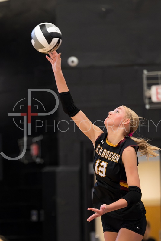Volleyball vs CHCA