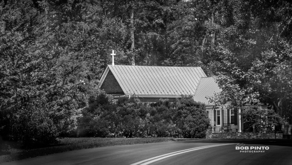 DSC_4618 - Black &amp; White - Bob Pinto