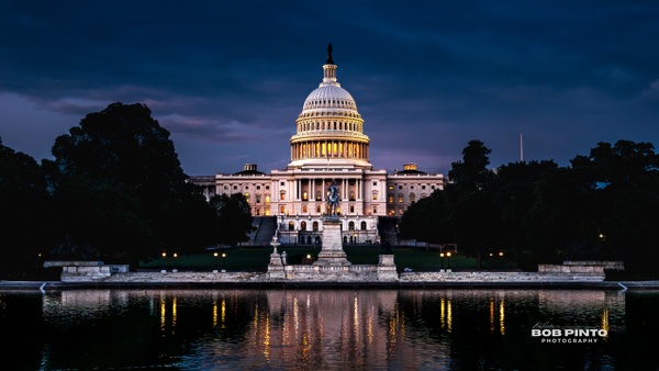 DSC_3649 - Color - Bob Pinto