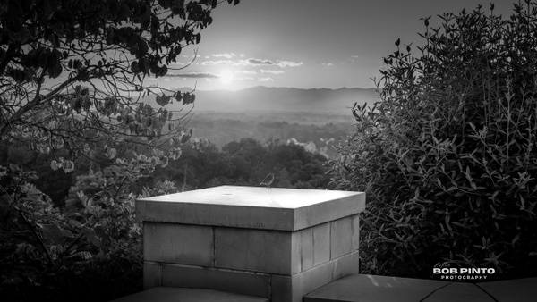 DSC_3146-Edit-2.jpg - Black &amp; White - Bob Pinto