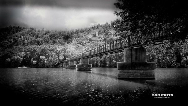 $$$/CRaw/Filter/DustRemoval/FilterPanelTitle=Dust Removal - Black &amp; White - Bob Pinto