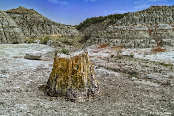 Petrified Stump - South Unit / Theodore Roosevelt National Park / North Dakota USA - Misc Parks &amp; Monuments - Michael Mock Photography