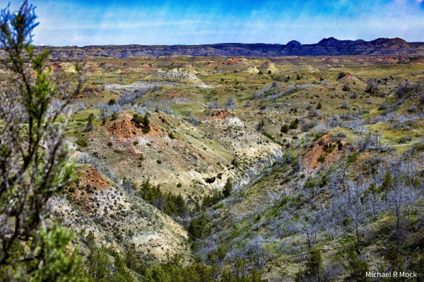 Overlook - South Unit / Theodore Roosevelt National Park / North Dakota USA - Misc Parks &amp; Monuments - Michael Mock Photography