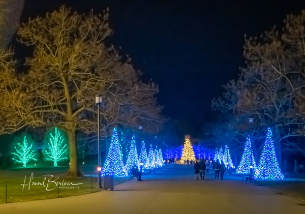 Longwood Christmas at Night - Home - Howard Berliner Photography 