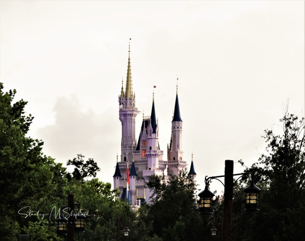 IMG_0750 - Disney World Florida - Shephard Productions 
