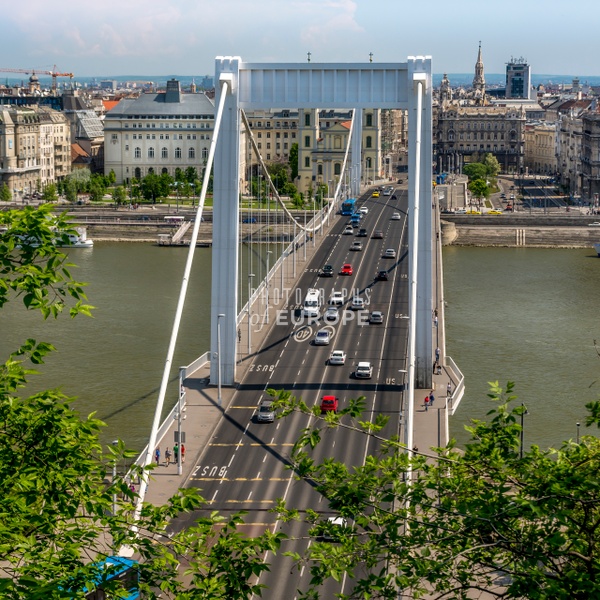Budapest-Elizabeth-Bridge-Hungary - Photographs of Budapest, Hungary.
