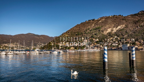 View-of-Como-basin-Lake-Como-Italy - LAKE COMO - Photographs of Europe