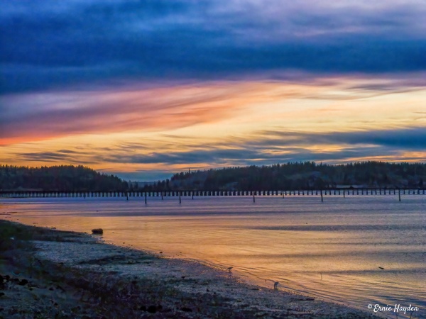 Sunset Looking Southwest Over the Tommy Thompson Trail - Fidalgo Bay - Golden Hour - Rising Moon NW Photography