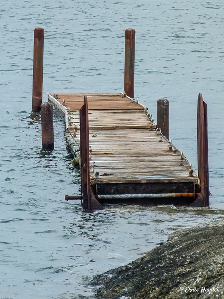 Floating Dock - March's Point - Golden Hour - Rising Moon NW Photography 