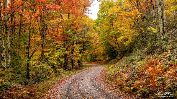 Fall Drive - Kentucky - Portfolio - Harold Rau 