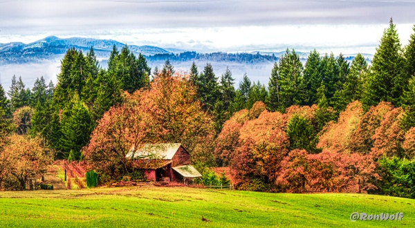 Farmland in Oregon - Oregon Smiles (Landscape) - Ron Wolf Photography