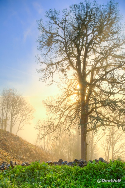 Oregon, Greet the Morning Sun - Oregon Smiles (Landscape) - Ron Wolf Photography