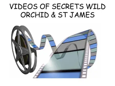 Secrets Video Tour