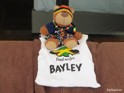 Bayley the well travelled bear