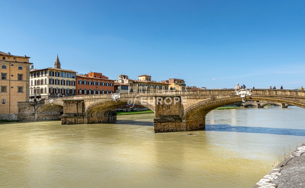 Ponte-alla-Carraia-bridge-Florence-Italy - FLORENCE & PISA - Photographs of Europe 