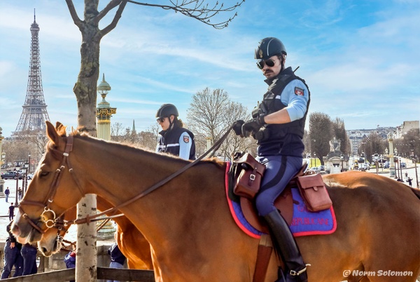 Mounted Paris Police_1 - PEOPLE - Norm Solomon Photography 
