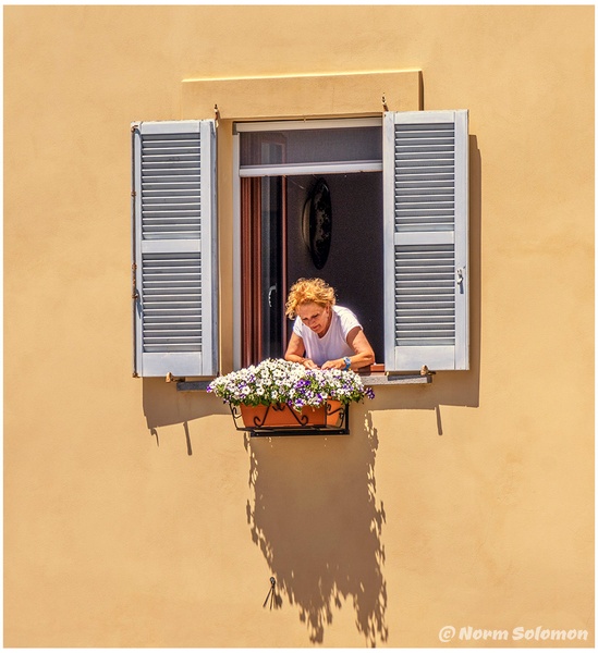 Windowbox Garden ITALY_1062_2022 copy - PEOPLE - Norm Solomon Photography 