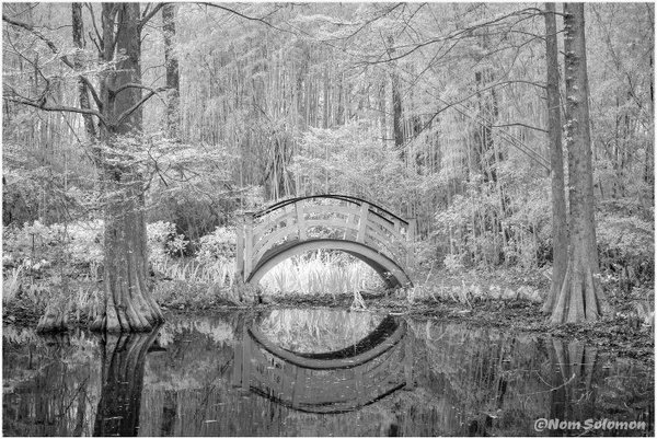 Magnolia Bridge Reflection SC CHARLESTON_103_2022_APRIL copy - MONOCHROME - Norm Solomon Photography