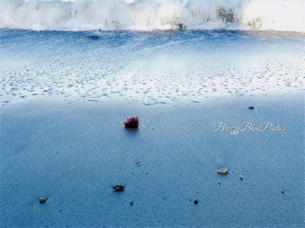 Breezy Blue Beach - Ocean Vistas - Chinelo Mora