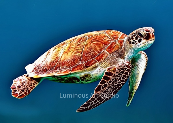Turtle-Art-011 - Wildlife Illustrations - LuminousLight 